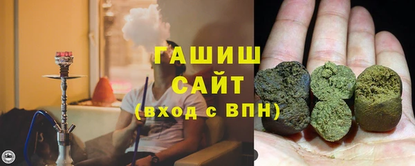 индика Волоколамск