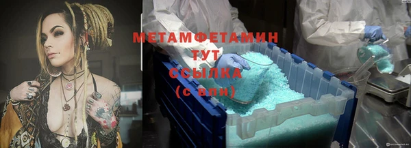 индика Волоколамск