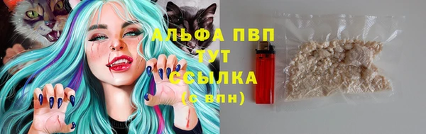 индика Волоколамск