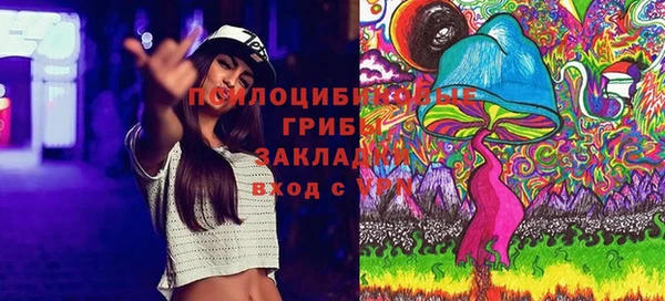мяу мяу мука Вязьма