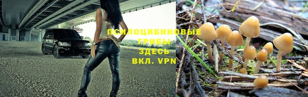 индика Волоколамск